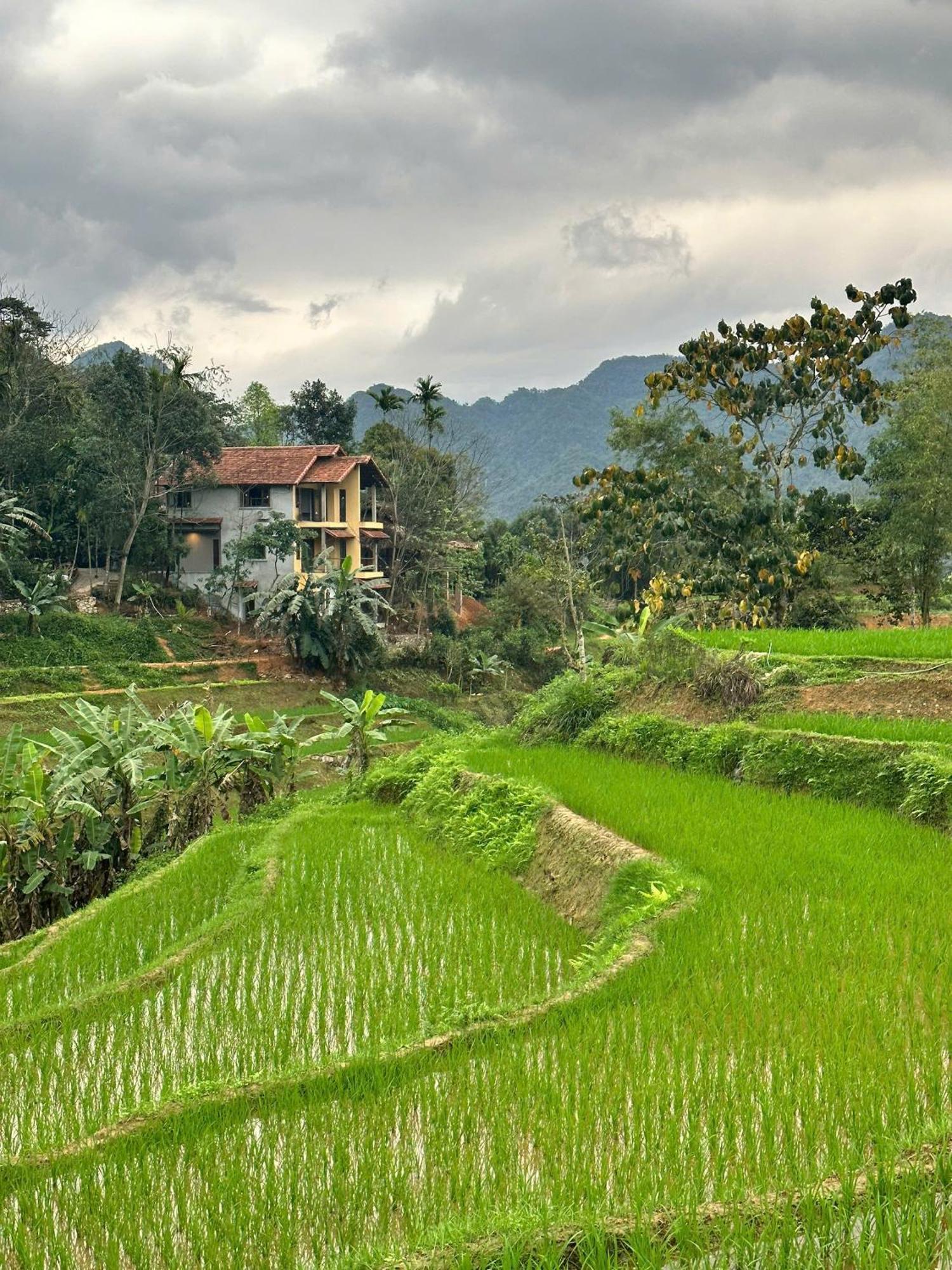 Pu Luong Boutique Garden Hotel Eksteriør billede